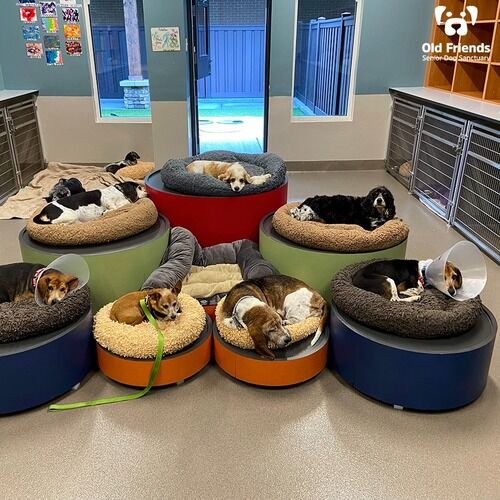 Station Waggin.jpg